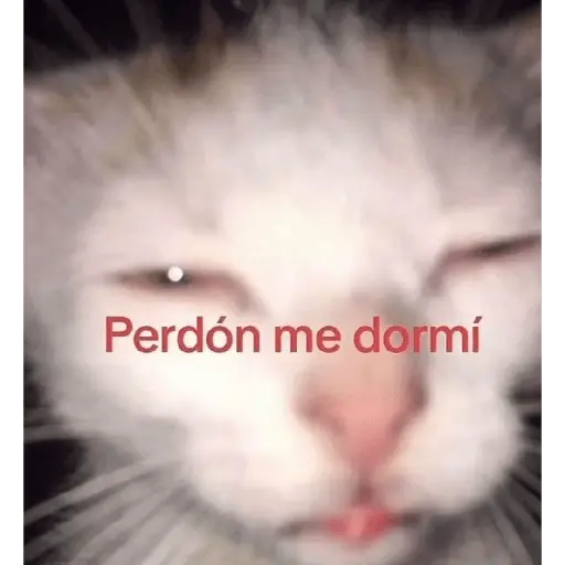 stickers_ratita