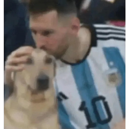 stickers_Animales_Graciosos_😂