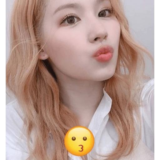 stickers_Imitando_Emojis😜_