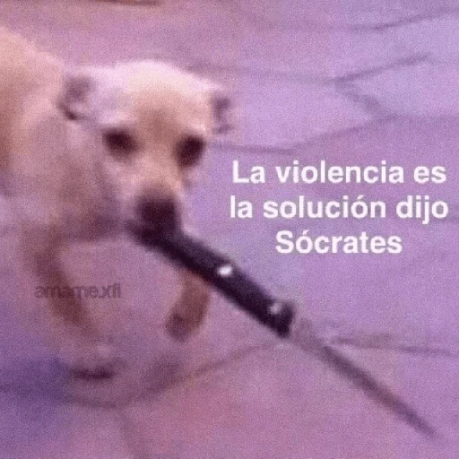 stickers_Pack_Enojo_Shitpost_😡🤬_