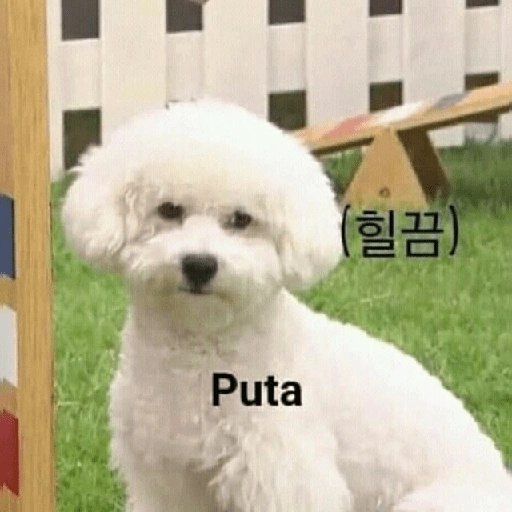 stickers_Pack_Enojo_Shitpost_😡🤬_