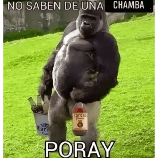 stickers_When_ya_no_chambeas_