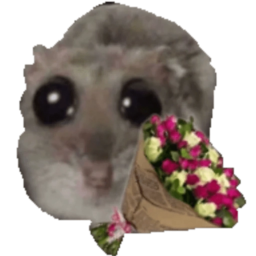 stickers_Ratita_Triste