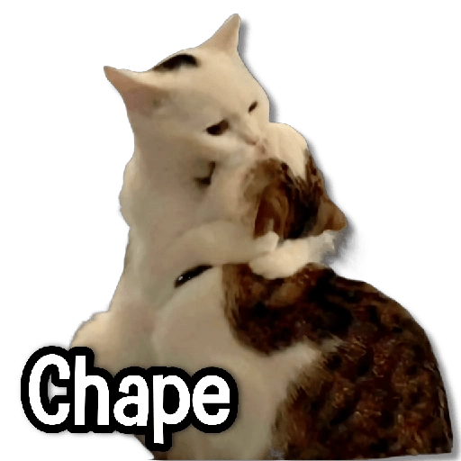 stickers_MICHIS_Mix_🐾😻_➊_