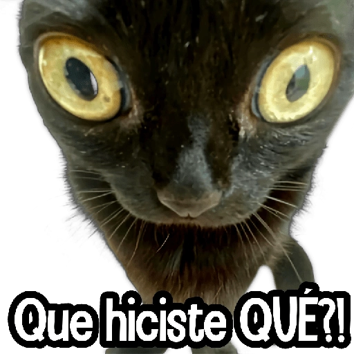 stickers_MICHIS_Mix_🐾😻_➊_
