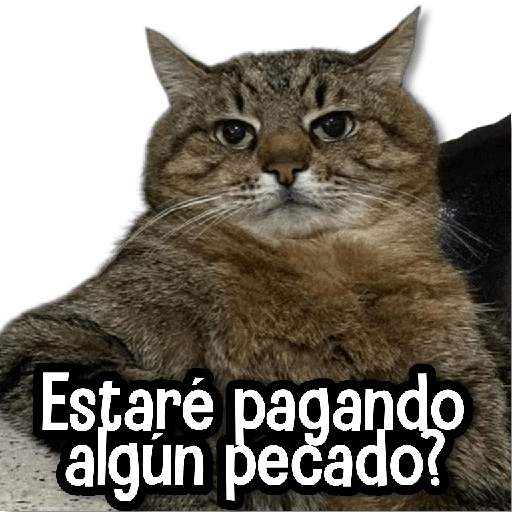 stickers_MICHIS_Mix_🐾😻_➊_