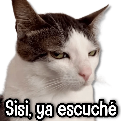 stickers_MICHIS_Mix_🐾😻_➊_