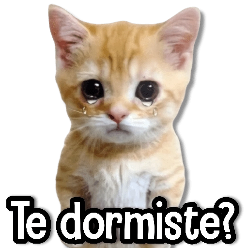 stickers_MICHIS_Mix_🐾😻_➊_
