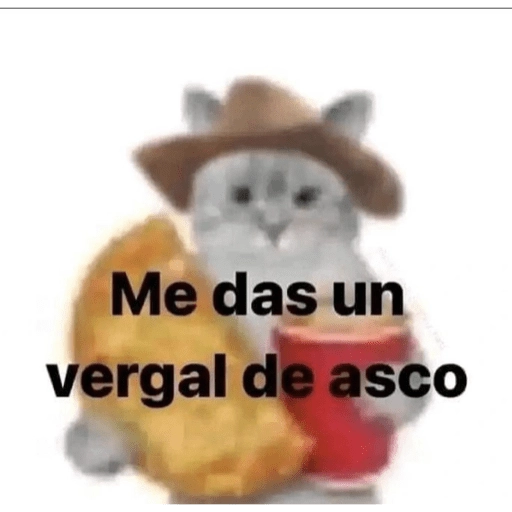 stickers_Perdon_por_joder_tanto😗_