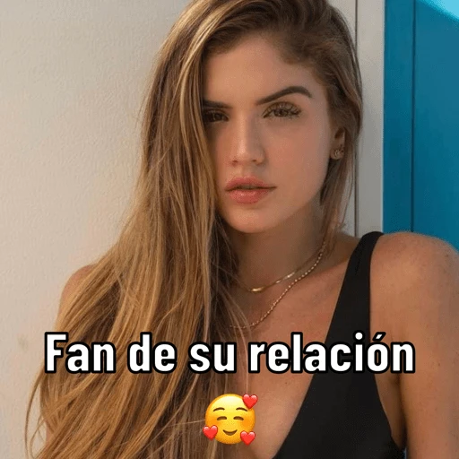 stickers_Stickers_Fan_de_su_relación🥰_
