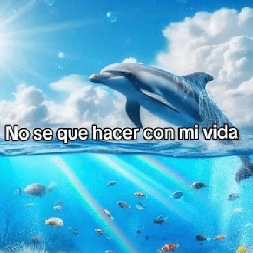 stickers_DELFINES_UNICORNIO_TREND_