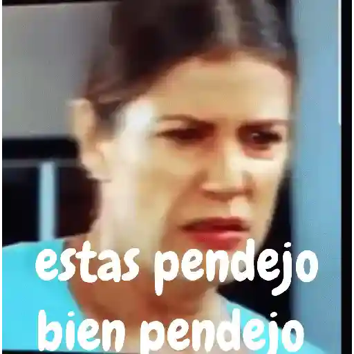 stickers_estas_bien_pendejo__