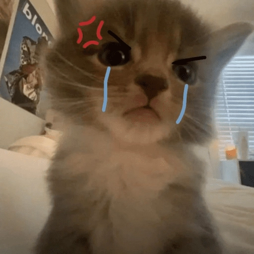 stickers_Gatitos_enojados😡🐱_