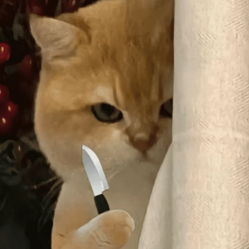 stickers_Gatitos_enojados😡🐱_