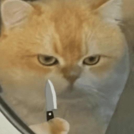 stickers_Gatitos_enojados😡🐱_