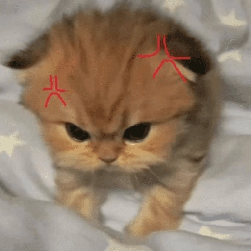 stickers_Gatitos_enojados😡🐱_