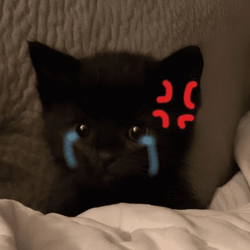 stickers_Gatitos_enojados😡🐱_