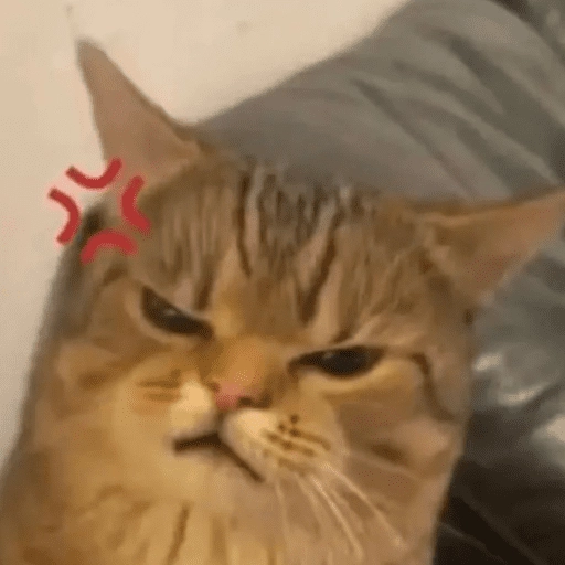 stickers_Gatitos_enojados😡🐱_