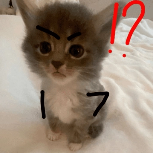 stickers_Gatitos_enojados😡🐱_