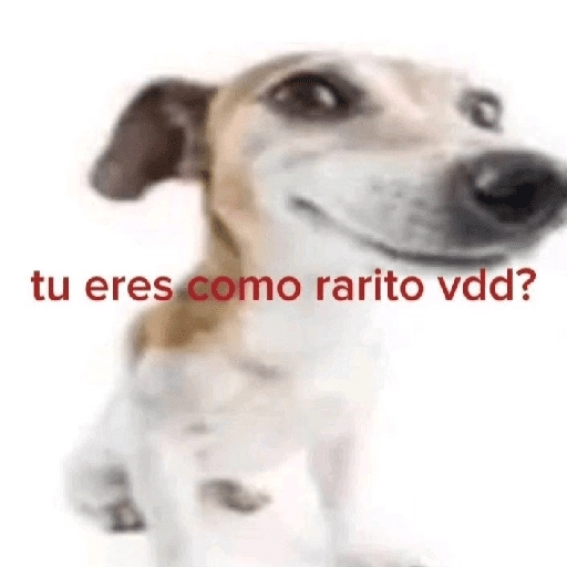 stickers_Random_Shitpost_#2_