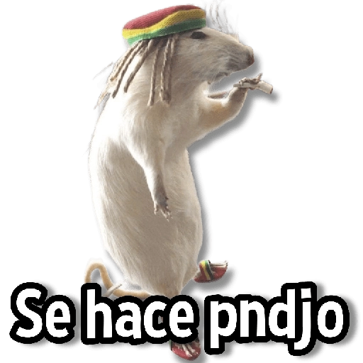 stickers_Memes_Simples_4😏💙_