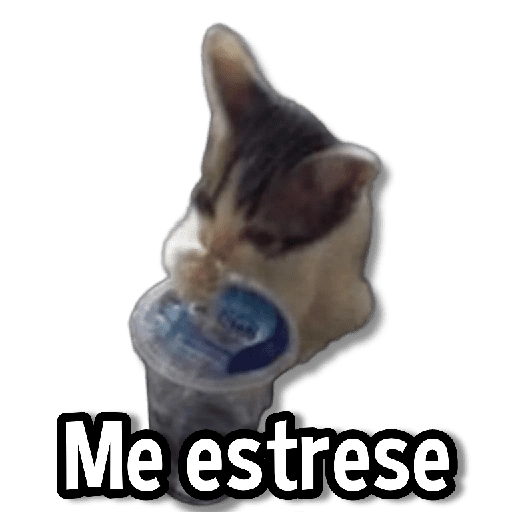 stickers_Memes_Simples_4😏💙_