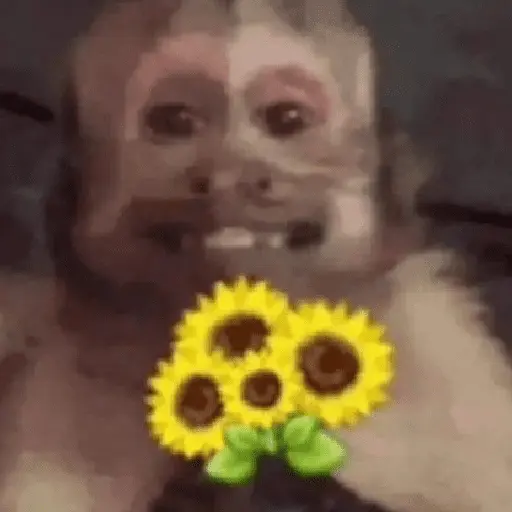 stickers_🐒🙊🌴_MONOS_🌴🙊🐒