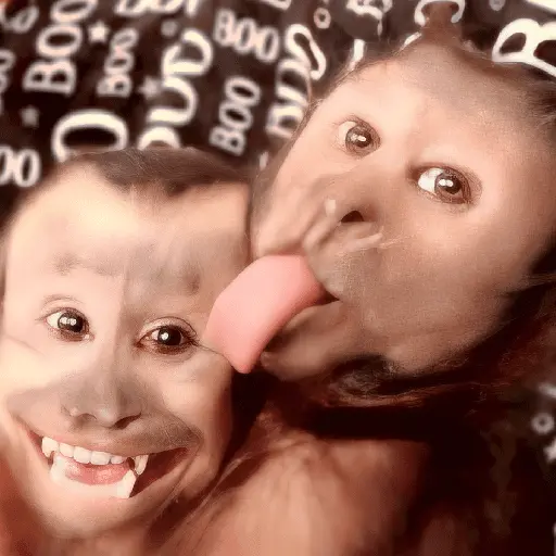 stickers_🐒🙊🌴_MONOS_🌴🙊🐒