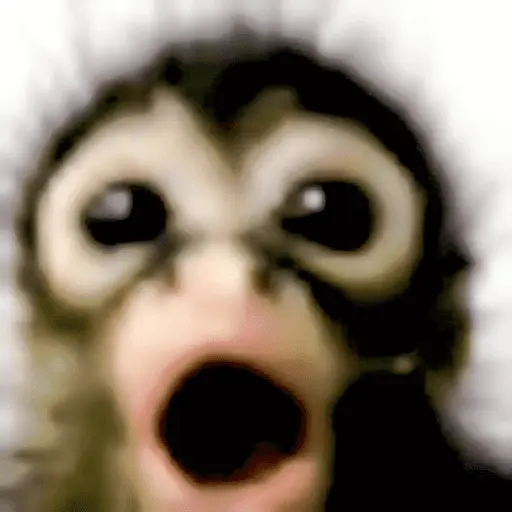 stickers_🐒🙊🌴_MONOS_🌴🙊🐒
