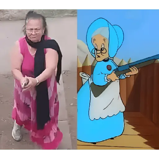 stickers_abuelita_sicaria_🤑
