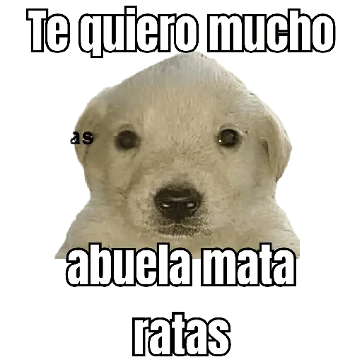 stickers_abuelita_sicaria_🤑