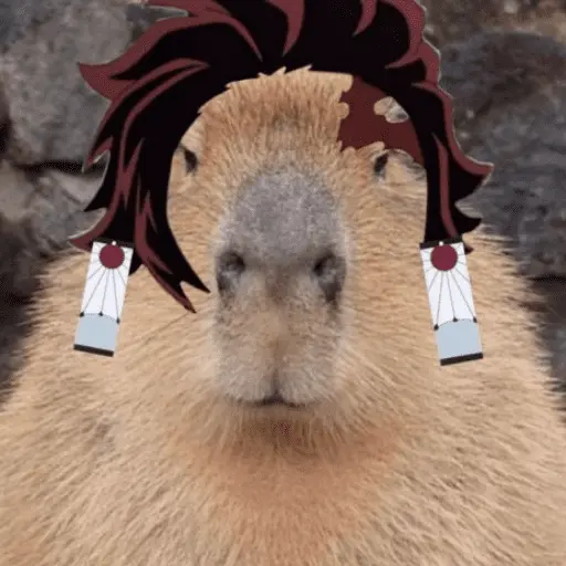 stickers_Capibara_Random_🍉