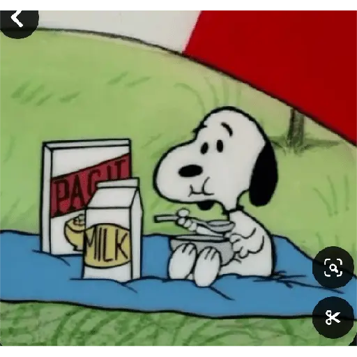 stickers_snoopy