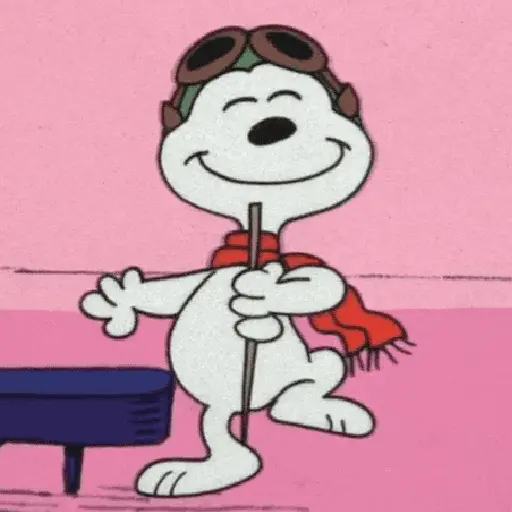 stickers_🦴🏠_SNOOPY_5_🏠🦴