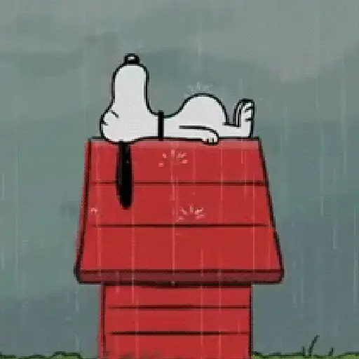 stickers_🦴🏠_SNOOPY_5_🏠🦴