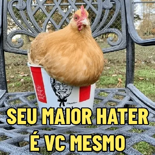 stickers_GALINHAS_DEBOCHADAS_🐔