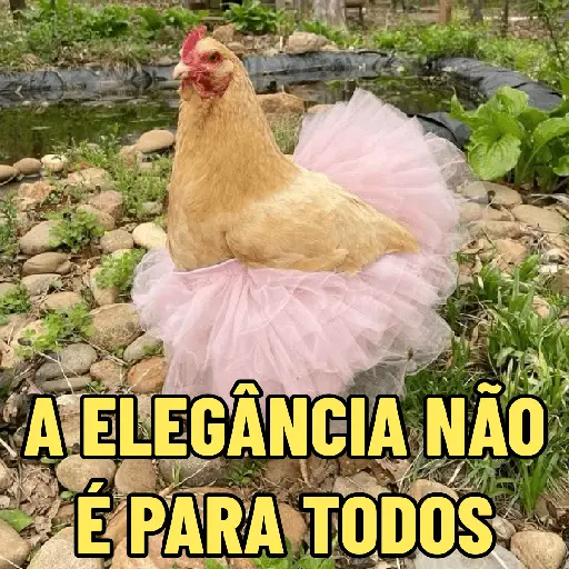 stickers_GALINHAS_DEBOCHADAS_🐔