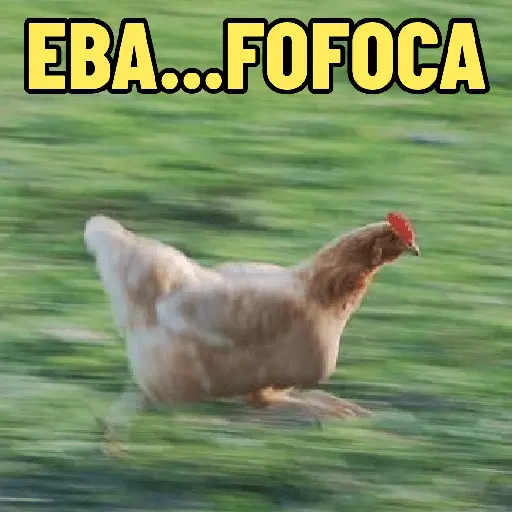 stickers_GALINHAS_DEBOCHADAS_🐔