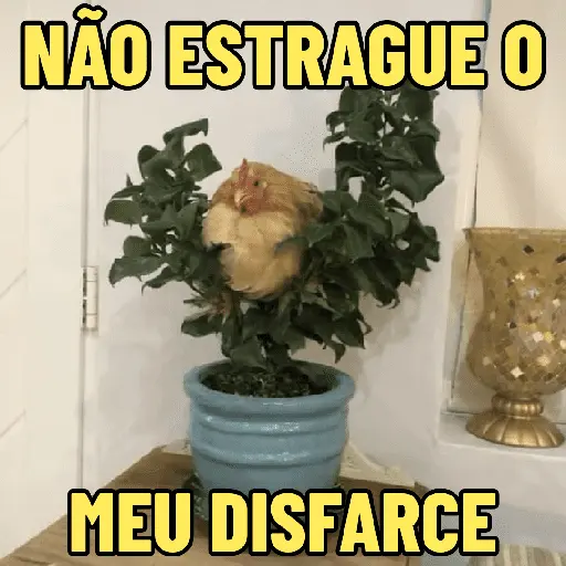 stickers_GALINHAS_DEBOCHADAS_🐔