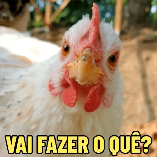 stickers_GALINHAS_DEBOCHADAS_🐔