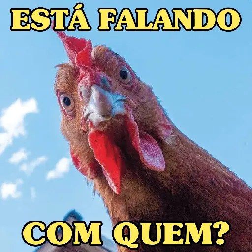 stickers_GALINHAS_DEBOCHADAS_🐔