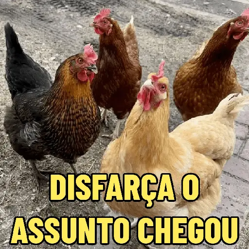 stickers_GALINHAS_DEBOCHADAS_🐔
