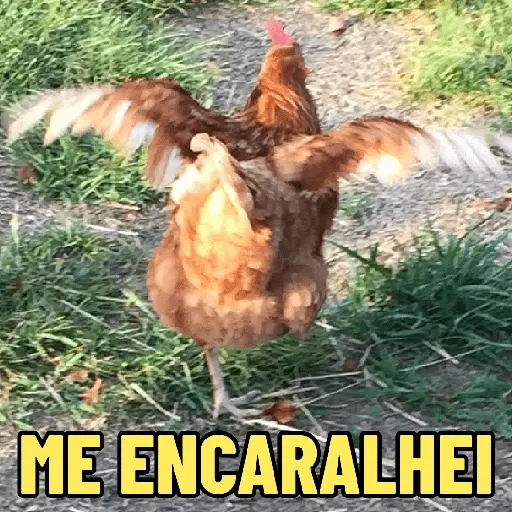 stickers_GALINHAS_DEBOCHADAS_🐔