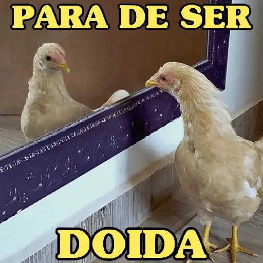 stickers_GALINHAS_DEBOCHADAS_🐔