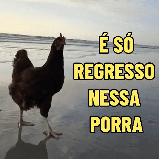 stickers_GALINHAS_DEBOCHADAS_🐔