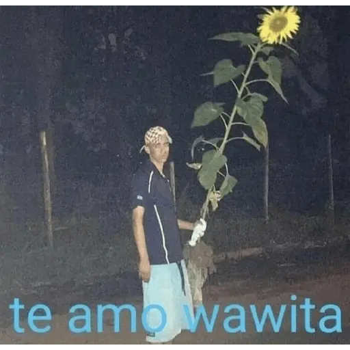 stickers_Memes_chilenos