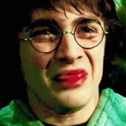 stickers_🧹_HARRY_POTTER_🧹