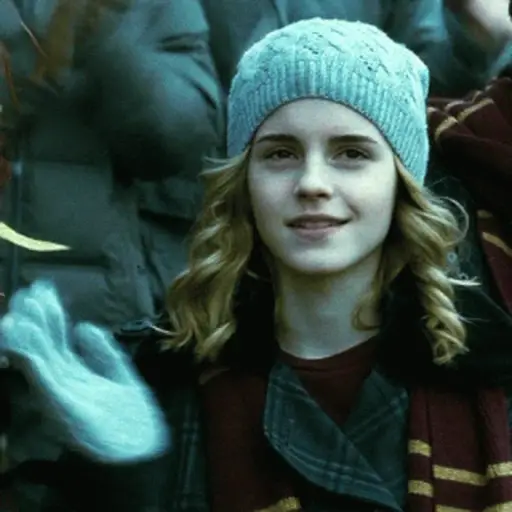 stickers_🧹_HARRY_POTTER_🧹