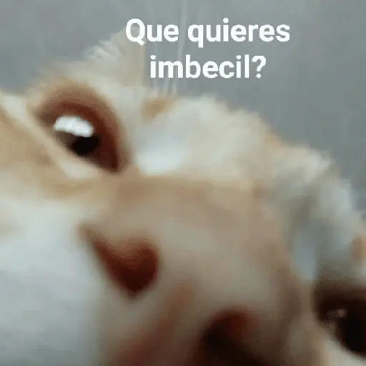 stickers_Más_Reacciones_#➊➍_🍧