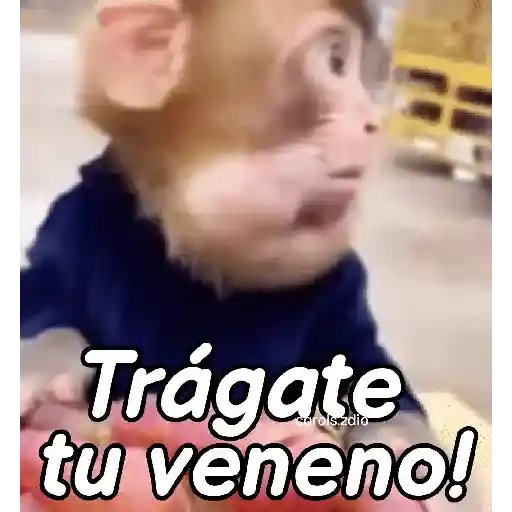 stickers_Monos_groseros_pal_chat_🐒🐵
